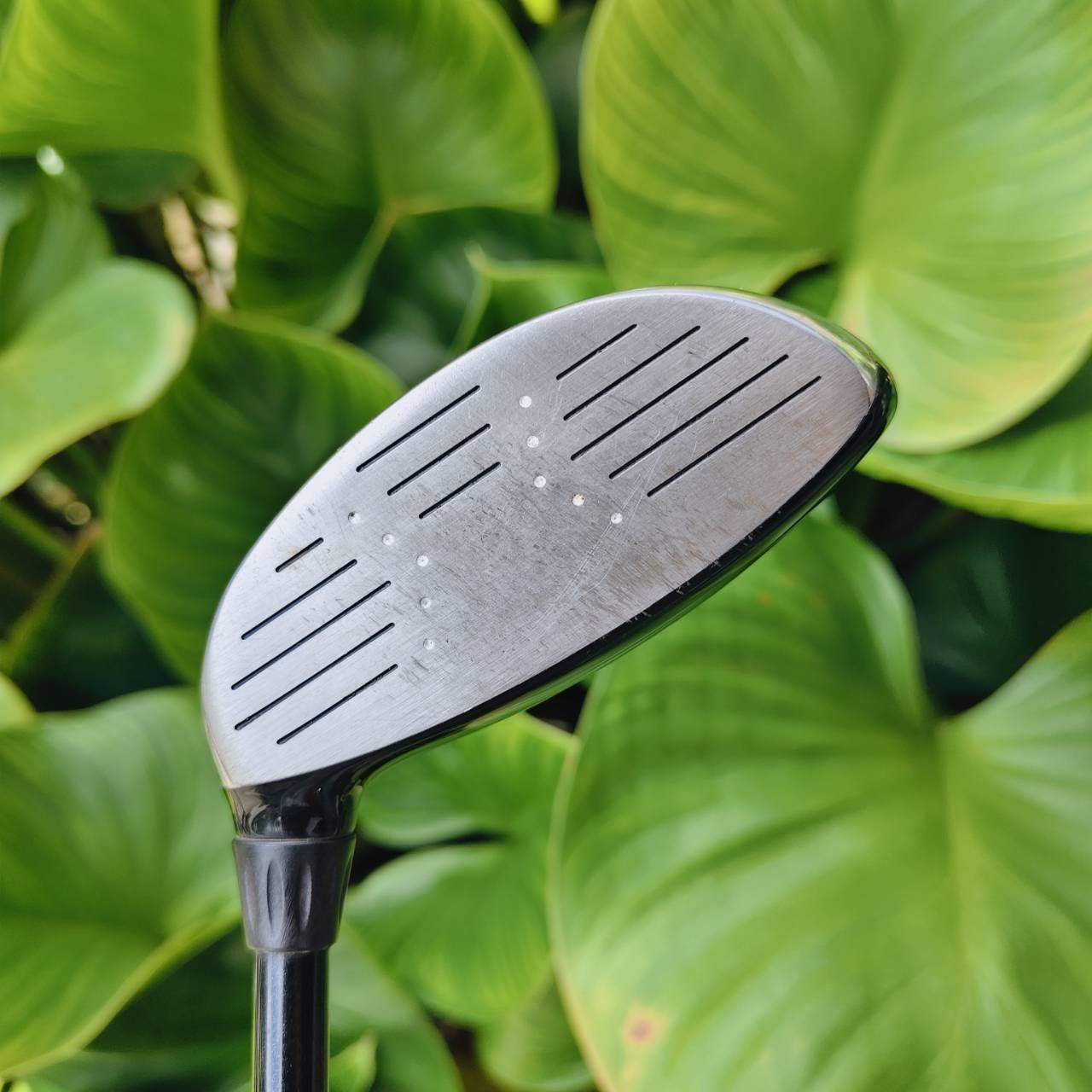 ไม้ 5 Callaway Diablo Edge Variable Face Thickness (VFT) เพิ่มความเร็วบอลทั่วทั้งหน้าไม้