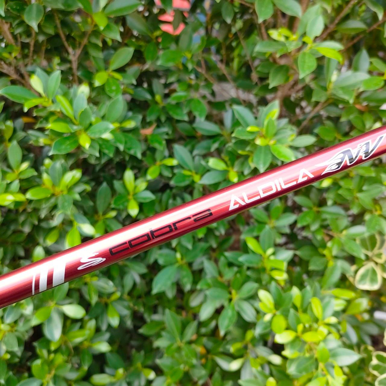 DRIVER KING COBRA SPEED LD SOON INERTIA ก้าน ALDILA NV FLEX R องศา 9 หัวดี ตีไกล หน้าเด้ง ตีง่าย กระดองรีดพลัง เด้งมากๆ ก้าน ALDILA ก้านดีมากครับ COBRA เน้นตีง่าย ตีไกล เสียงสนั่น