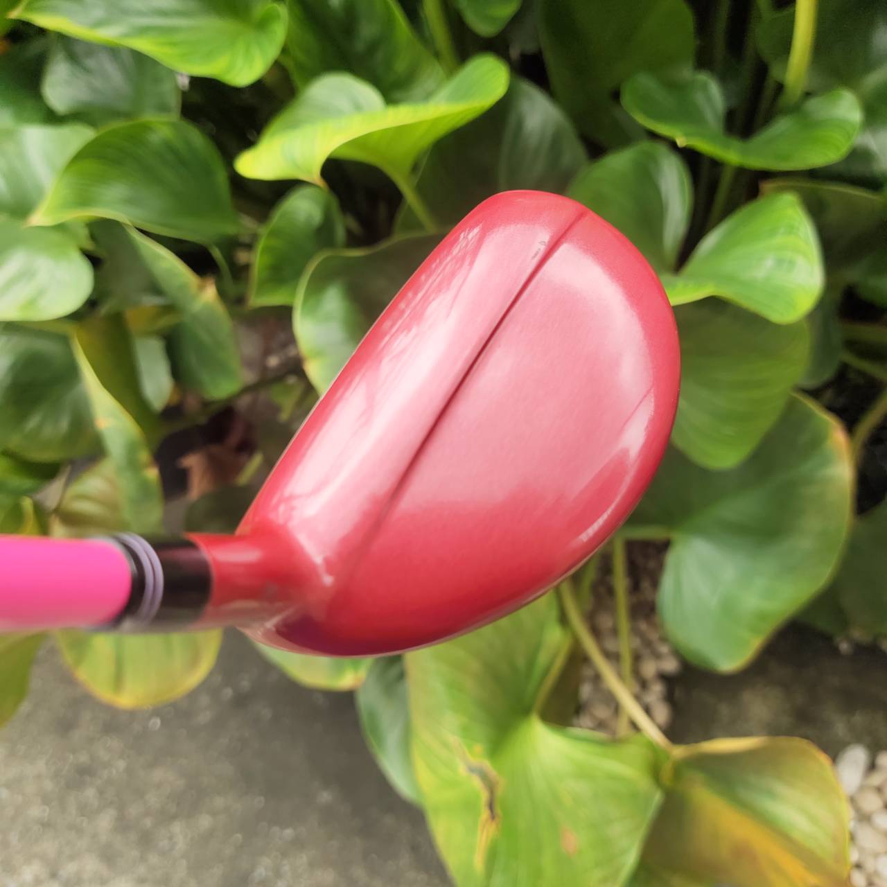 U5 KASCO DIMPALS Loft 24 องศา ก้าน FLEX L (สำหรับผู้หญิง หรือมือใหม่ที่สปีดสวิงช้า)