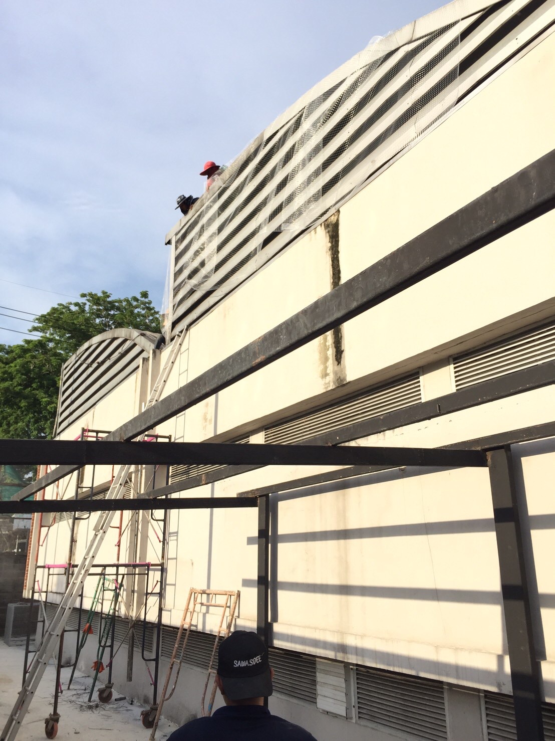 งานติดตาข่ายกันนก ตึกกายวิทยาทาน มหาวิทยาลัยมหิดล