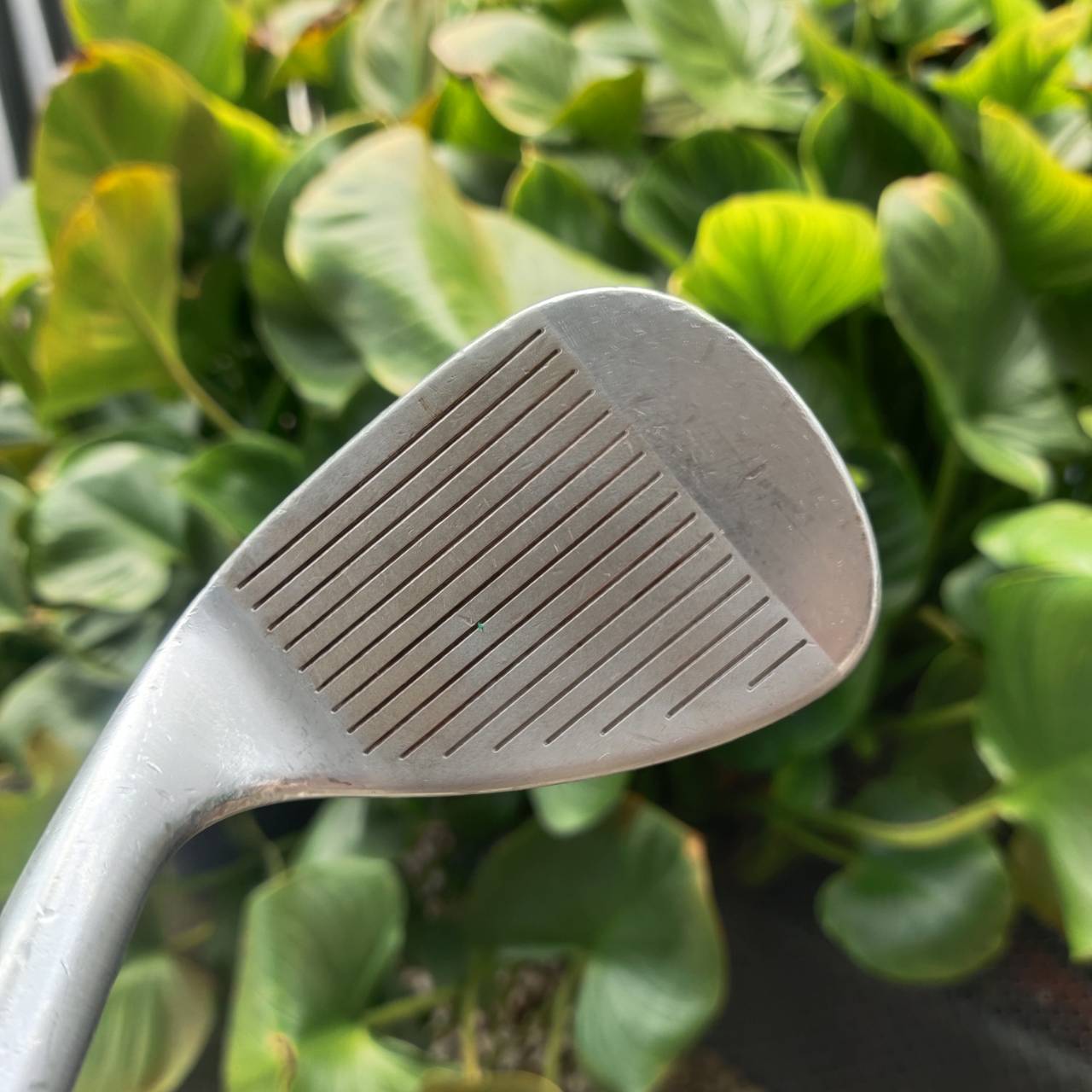 WEDGE TITLEIST VOKEY DESIGND องศา 52 BOUNCE 8 สวยเดิม คลาสสิค งานระดับมาสเตอร์ ต้นตำหรับ ระดับโลก