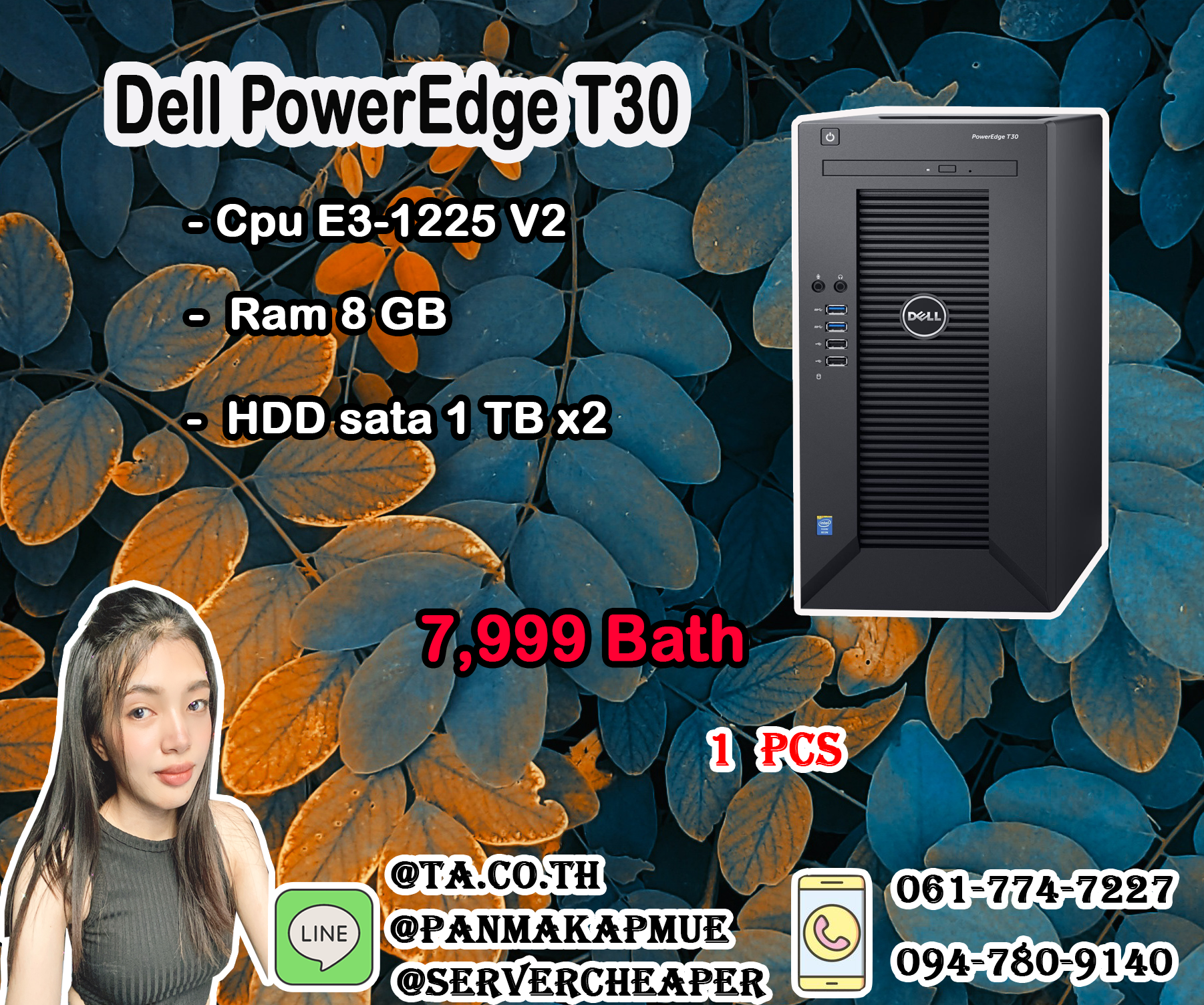 Dell PowerEdge T30