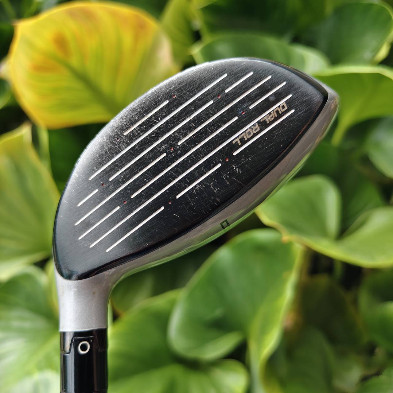 3W COBRA AMP โดดเด่นด้วย E9 Face Technology ตัวแรงที่มาพร้อมก้านสุดพรีเมียม ALDILA R.I.P. Flex R