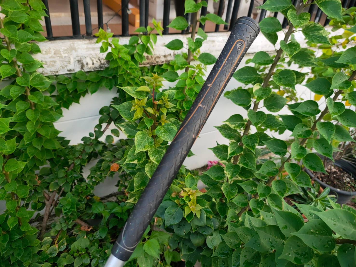 FW5 CLEVELAND HIBORE