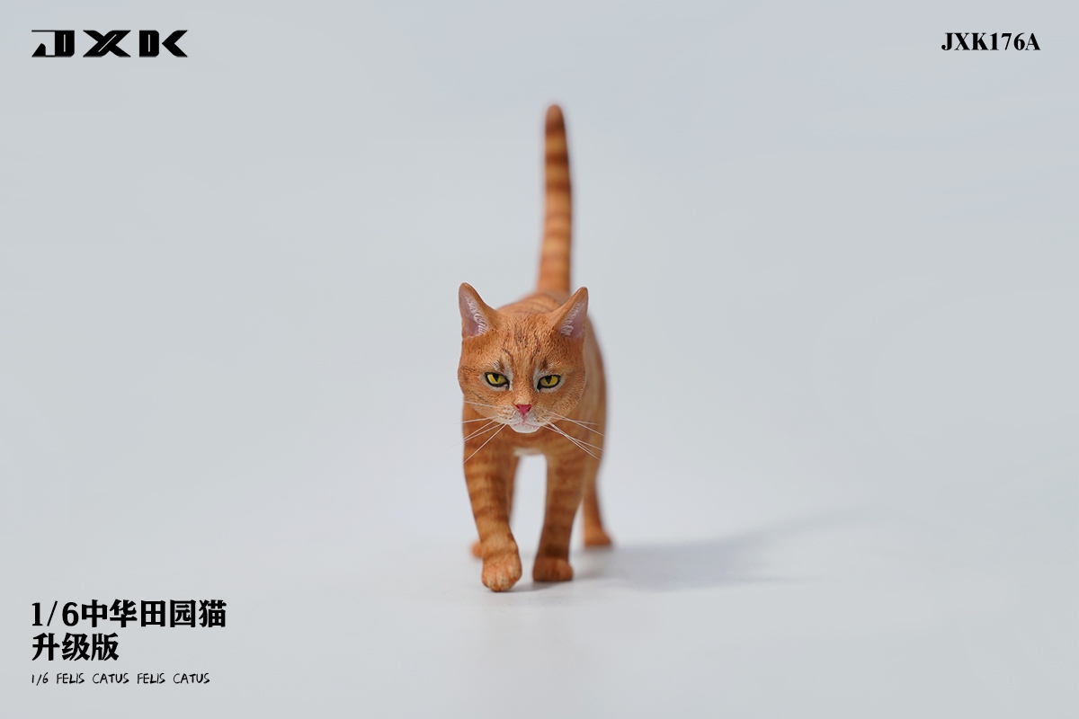 [สั่งจอง] JXK JXK176 1/6 : Felis Catus