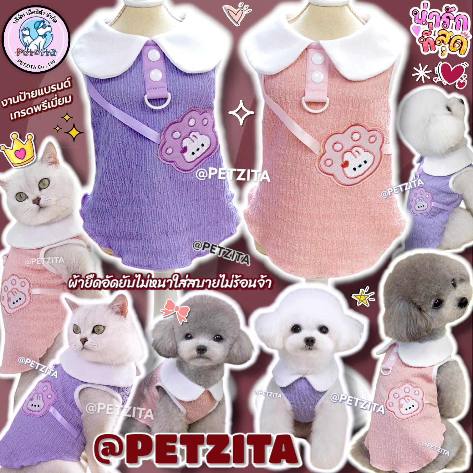 🇹🇭พร้อมส่ง🇹🇭🎀💖 เสื้อแขนกุดคอบัวขาว แต่งดีเทลน่ารักสดใส ผ้าใส่สบายจ้า เสื้อผ้าสัตว์เลี้ยง สุนัข หมา แมว