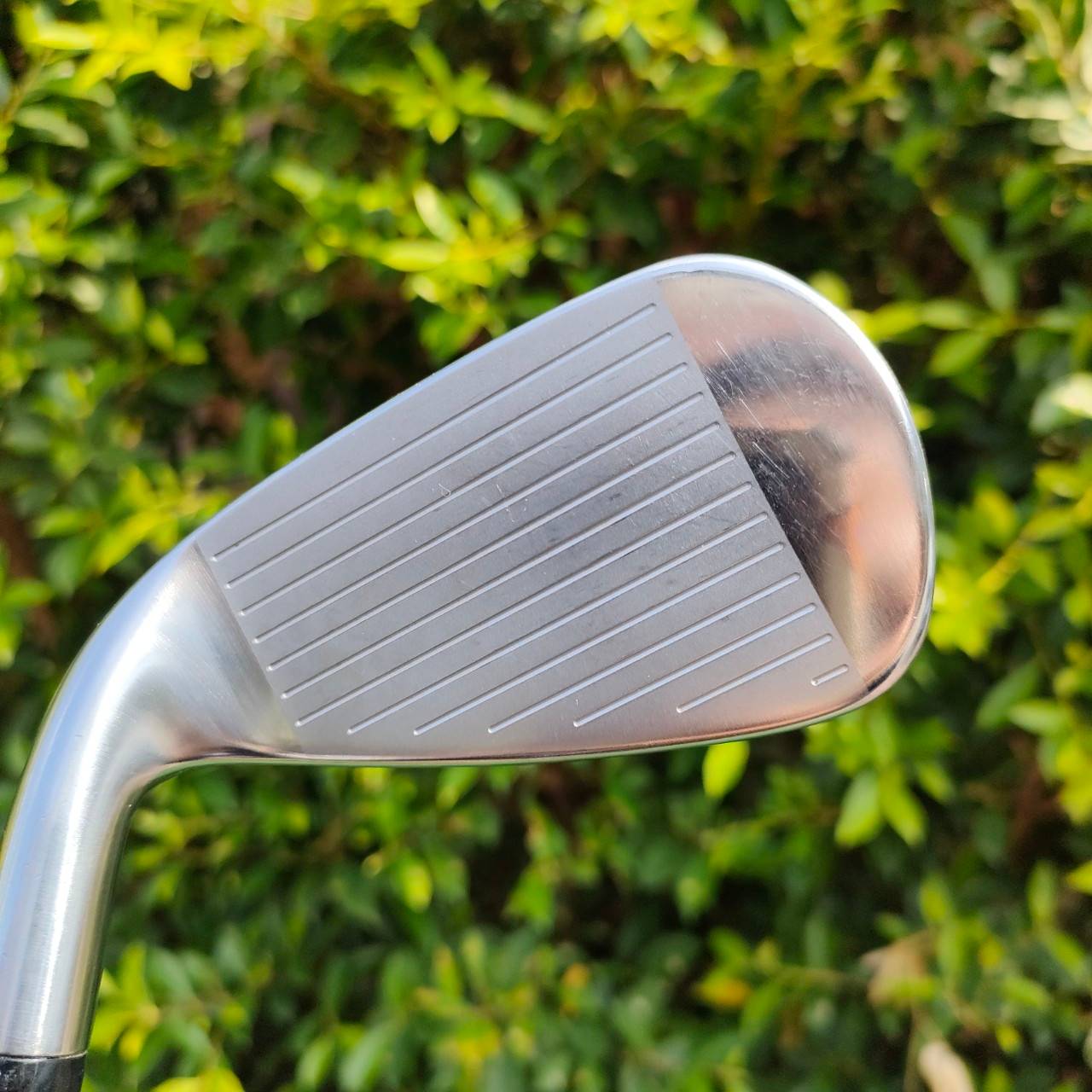 ชุดเหล็ก TITLEIST VG3 FORGED