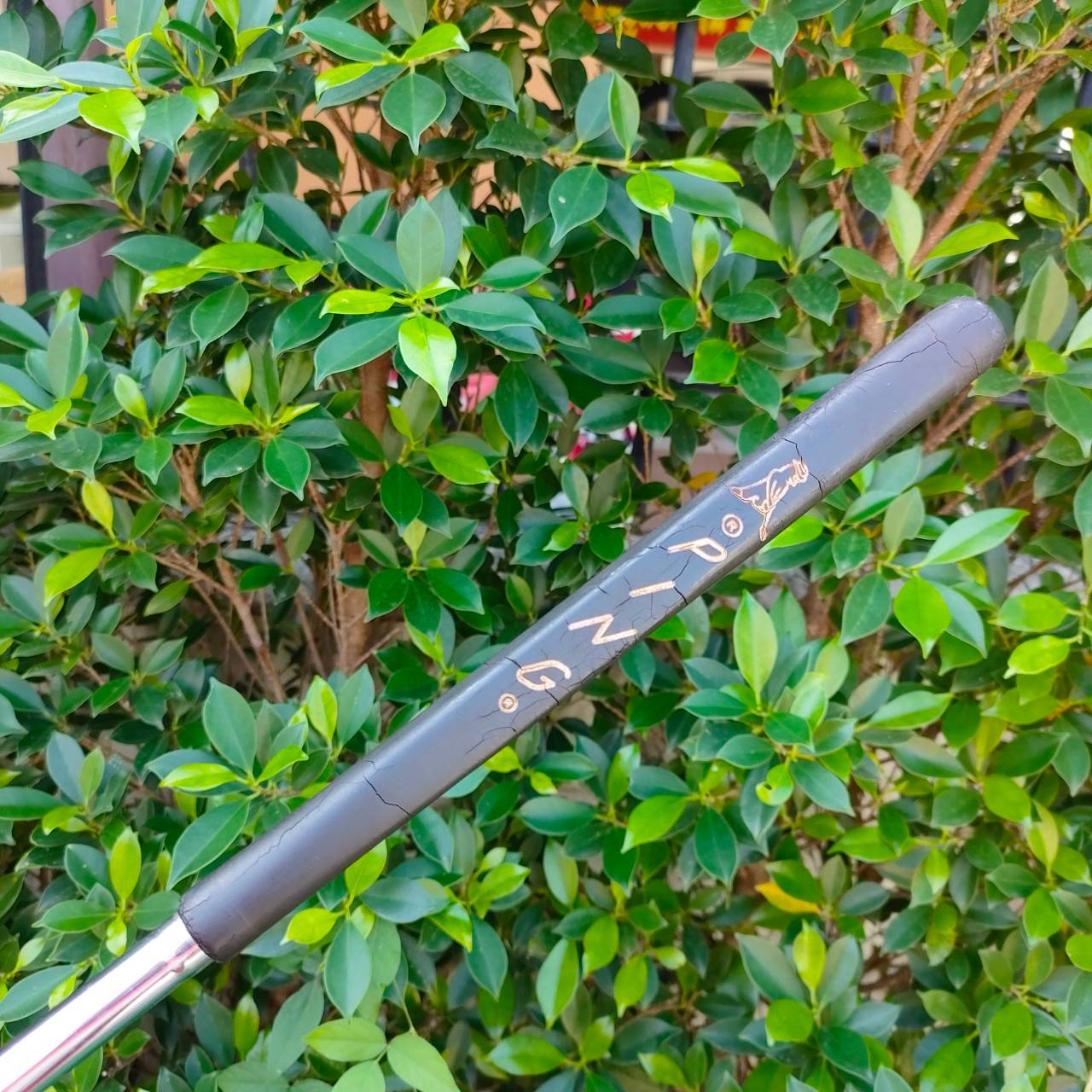 PUTTER PING ANSER 3 รุ่นทองเหลือง ความยาว 34 นิ้ว ทรง STUDIO ยอดนิยม วัสดุพรีเมี่ยม น้ำหนักดีมาก