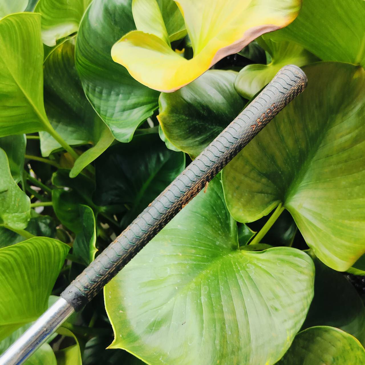 เหล็ก 2 HONMA FORGED ST - 7000 PROFESSIONAL สำหรับท่านที่ช่องตีเหล็กยาว ไม้กอล์ฟพรีเมี่ยมมือสอง ของแท้ By NakaraLuxurious