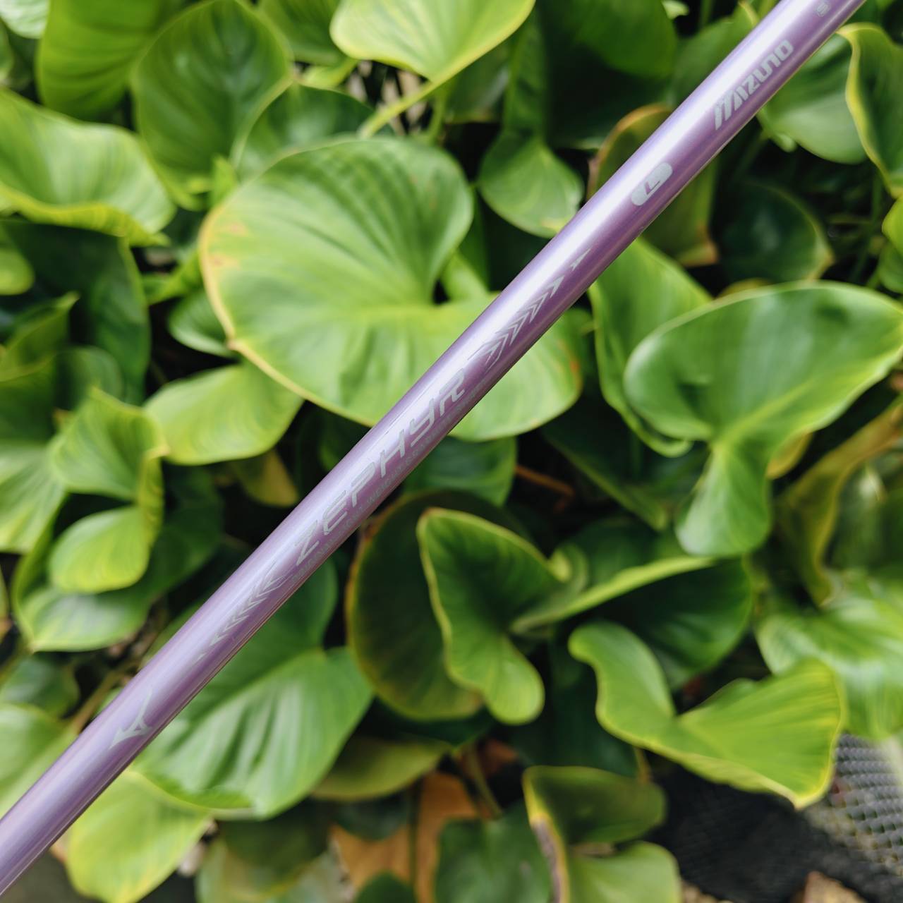 Driver Mizuno Zephyr (ญี่ปุ่น) – Flex Lady ไดรเวอร์คุณภาพจากญี่ปุ่น สำหรับผู้หญิง