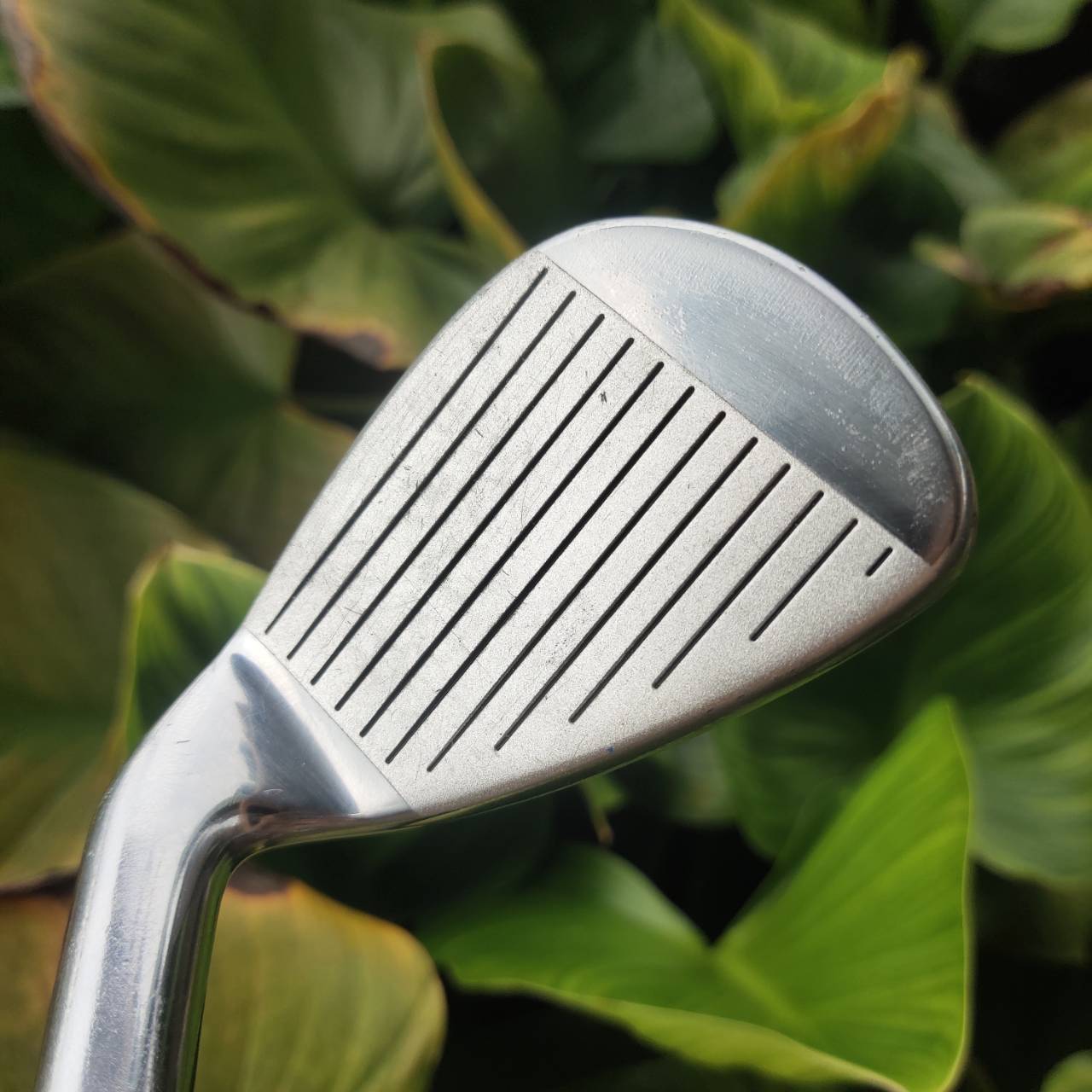 ไม้กอล์ฟเด็ก PGM เบอร์ 6/7 อายุ 3-5 ปี ฝึกวงสวิงตั้งแต่เล็ก พื้นฐานดี มีชัยไปกว่าครึ่ง!