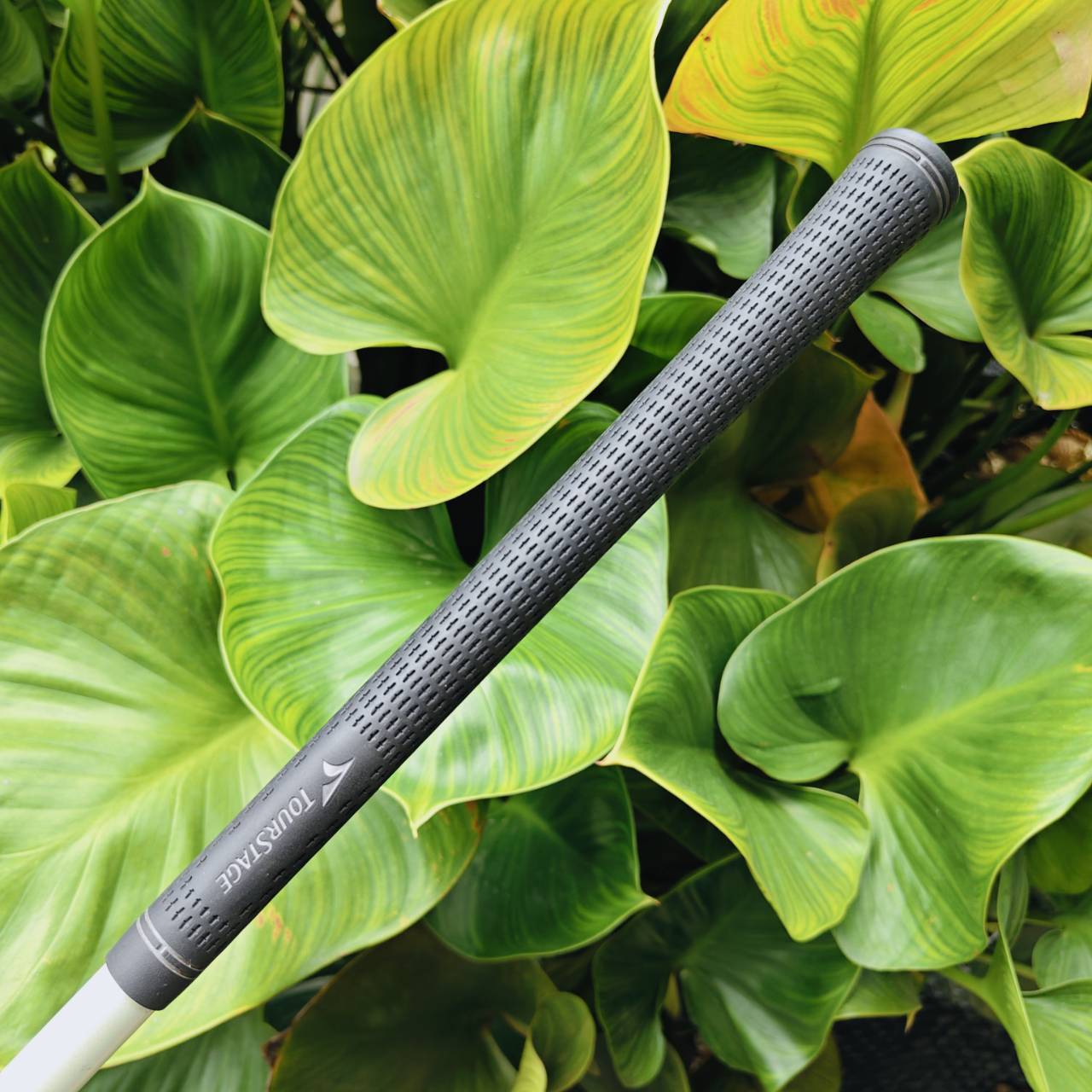 Driver TOURSTAGE X-DRIVE หน้าไม้ Titanium บางพิเศษ → รีดสปีดลูกกอล์ฟเต็มพลัง