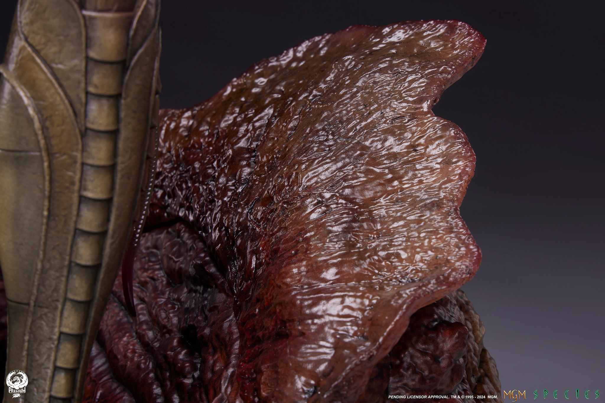 [สั่งจอง] PCS : Species (Species)