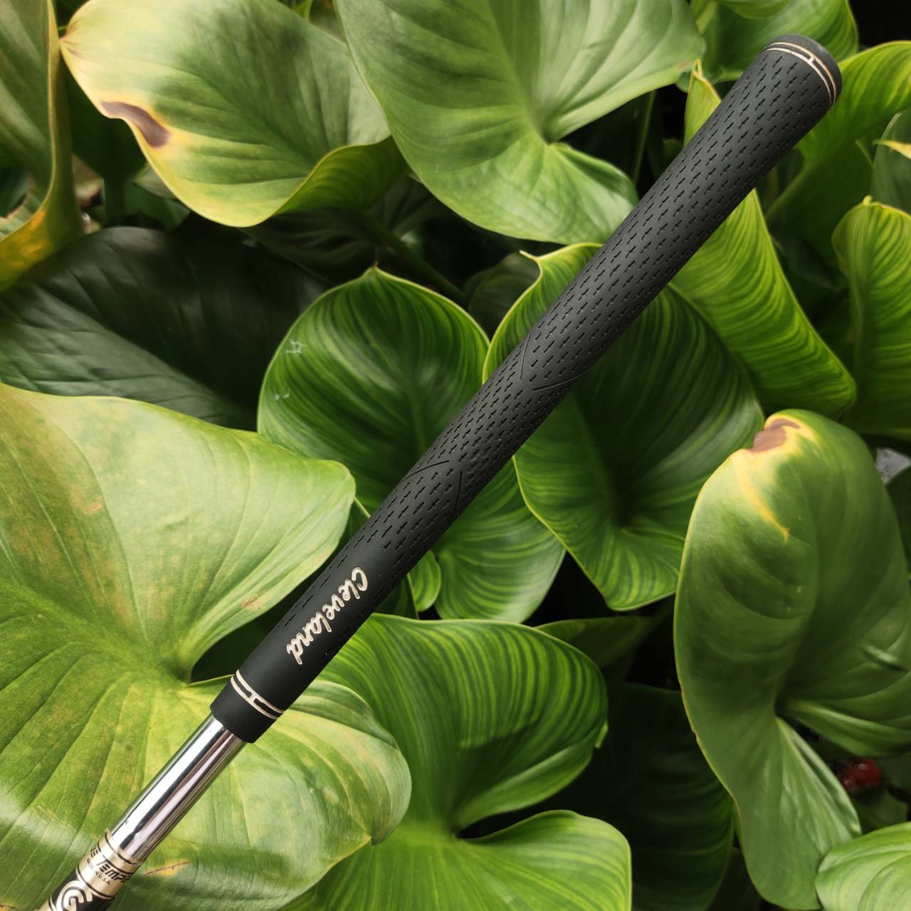 WEDGE CLEVELAND Cg12 องศา 60 ZIP GROOVE ร่องหน้าไม้สี่เหลี่ยมเหมือนกับซิป โหดมากสปินจัด