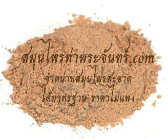 Szechuan lovage / Selinum Powder