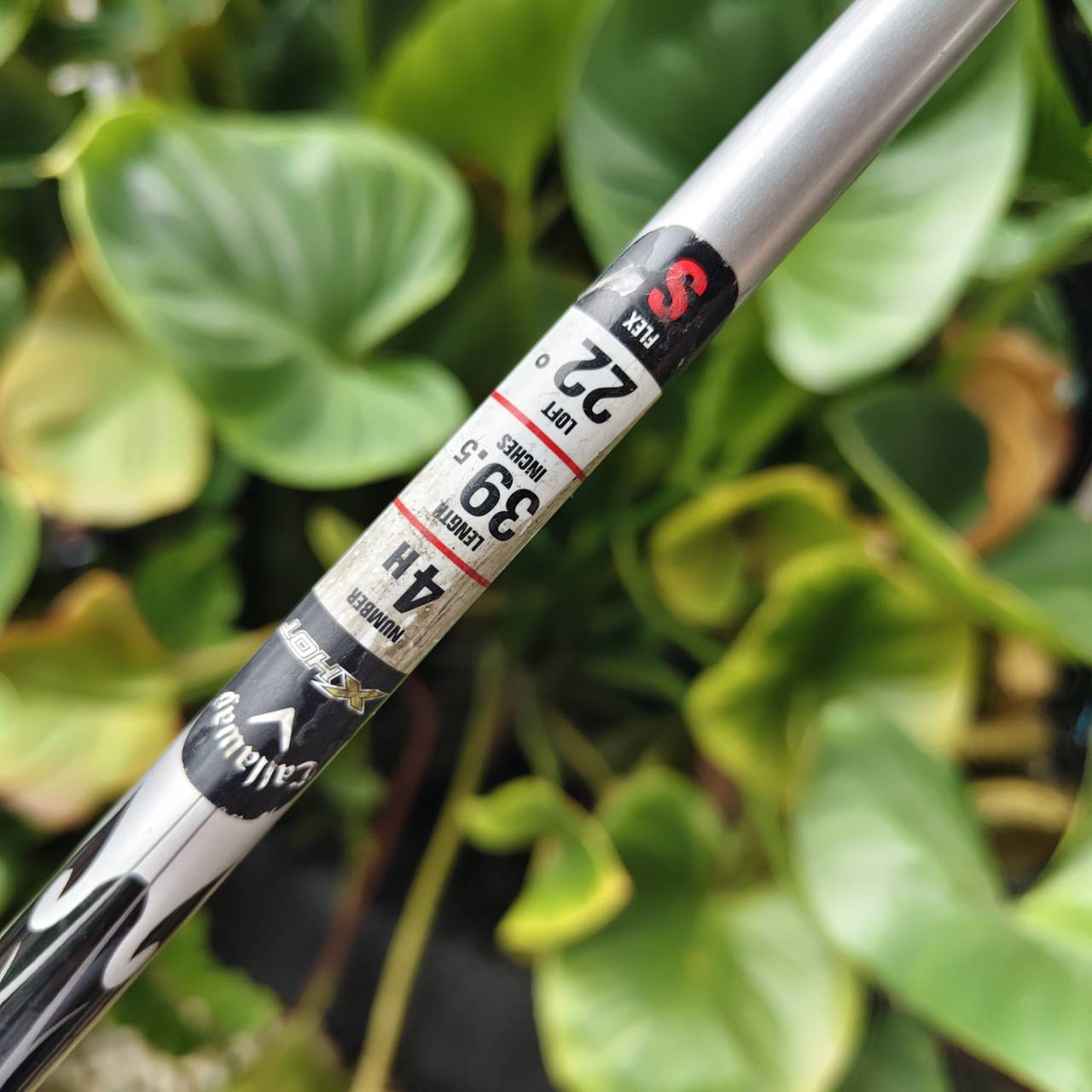 U4 Callaway X-HOT – ตัวแรง ตีง่าย พุ่งไกลแบบไม่ง้อเหล็กยาว!