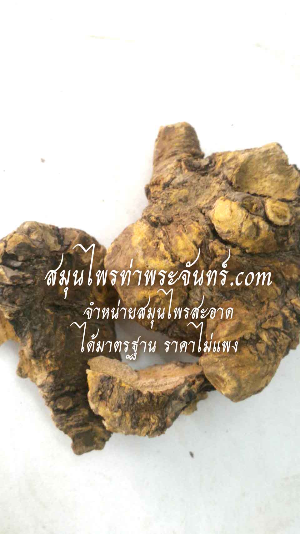 โกฐน้ำเต้าแห้ง ( 500กรัม - 1กิโล ) / ( 500g - 1kg ) สมุนไพรท่าพระจันทร์