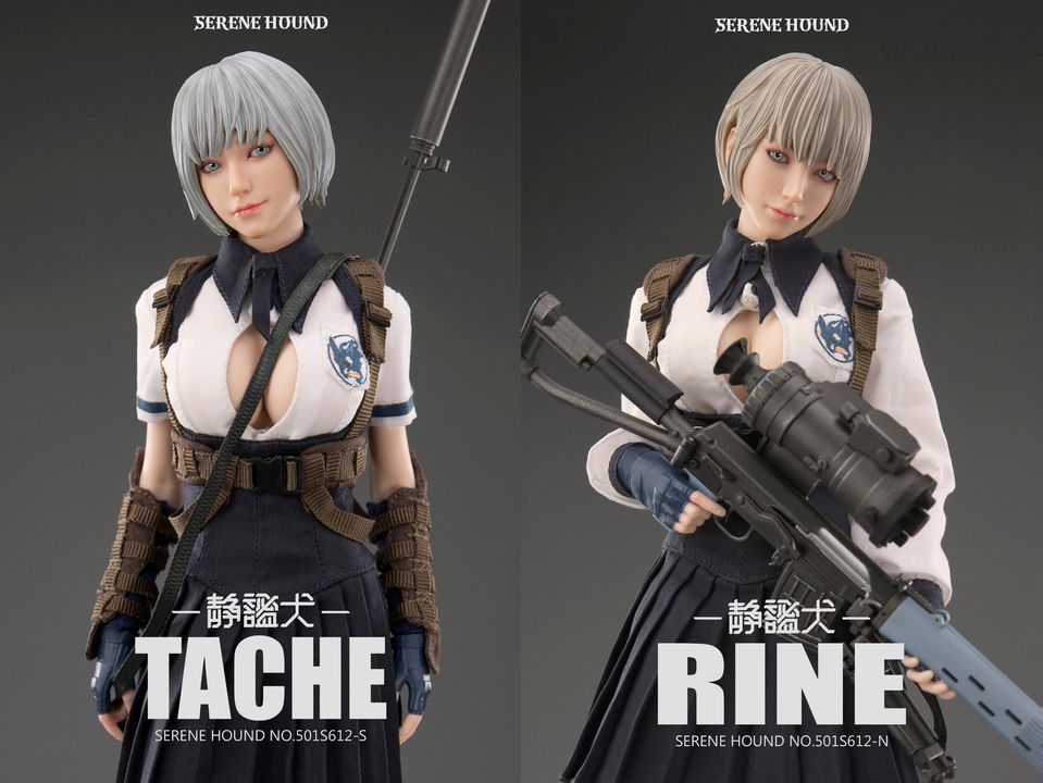 I8 Toys 1/6 フィギュア Serene Hound Troop 双子素体 Tache+