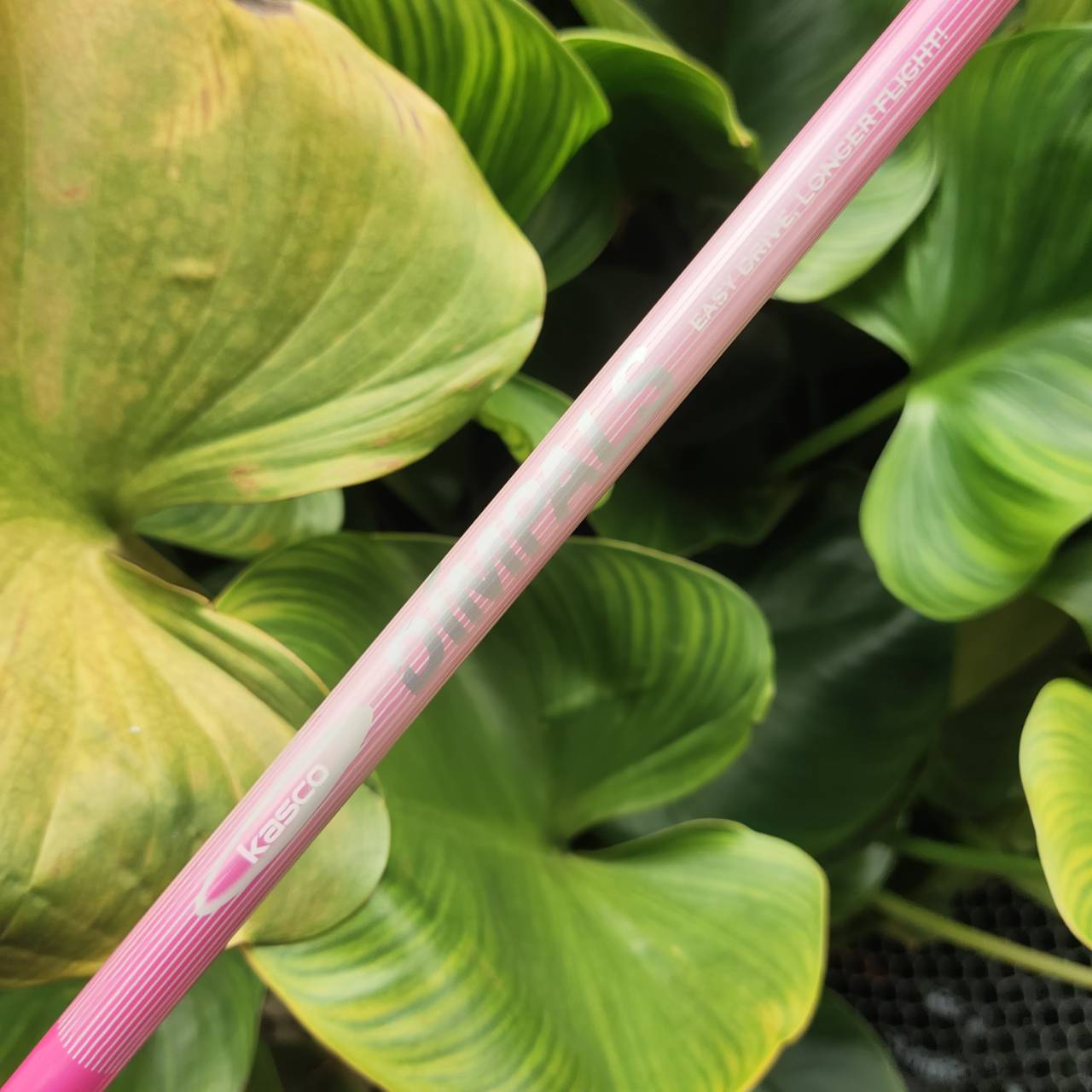 U5 KASCO DIMPALS Loft 24 องศา ก้าน FLEX L (สำหรับผู้หญิง หรือมือใหม่ที่สปีดสวิงช้า)