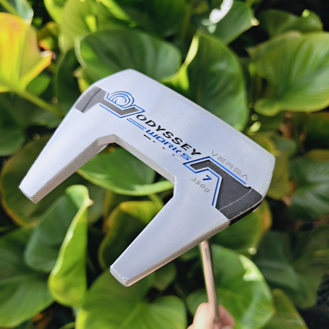PUTTER ODYSSEY WORKS VERSA #7 ทรง Fang ปีกสองข้าง ยอดนิยมสูงที่สุดในเวลานี้
