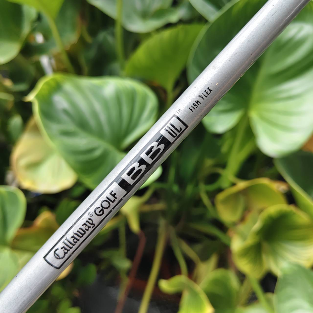 Driver Cleveland Ti 460 – พุ่งแรง ควบคุมง่าย ระยะมาแบบจัดเต็ม!