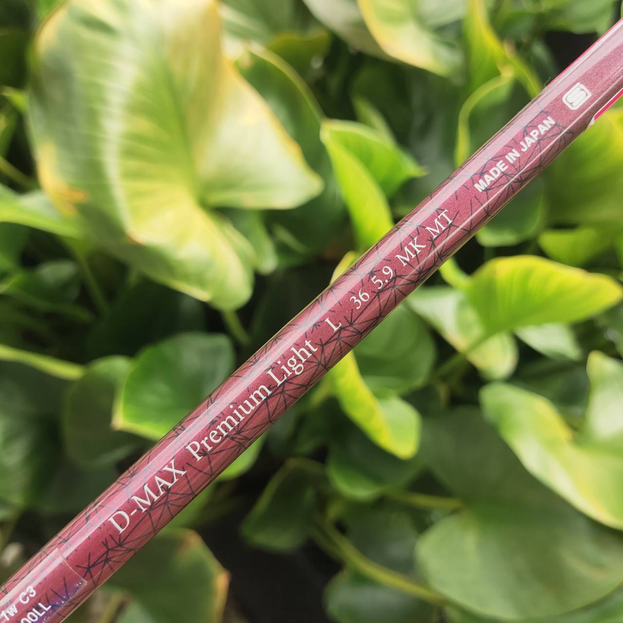 KASCO D-MAX PYRA LADY 11.5° Driver สำหรับคุณผู้หญิงที่อยากตีไกลขึ้นแบบ effortless!