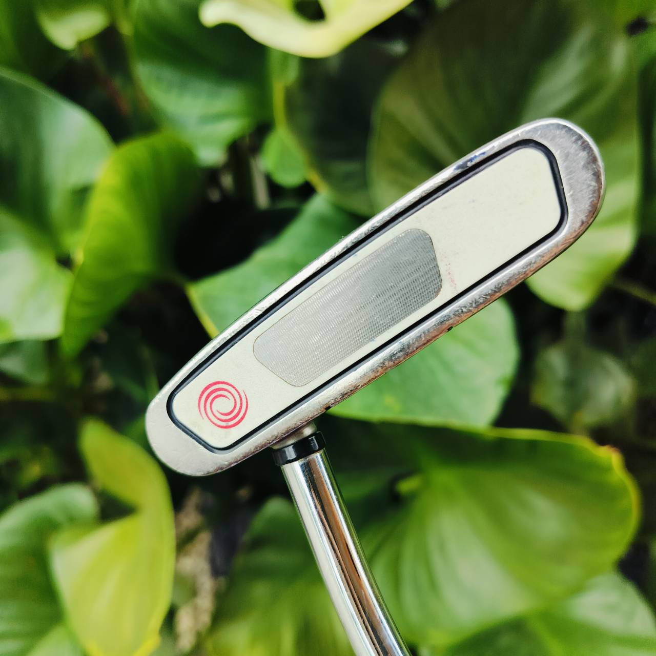 PUTTER ODYSSEY ROSSIE WHITE STEEL ยาว 34 นิ้ว รุ่นเป็นหน้า MILLED มีลวดลาย เพื่อช่วยให้ลูกหมุนเกาะไลน์ยิ่งขึ้น ไม้กอล์ฟพรีเมี่ยมมือสอง ของแท้ By NakaraLuxurious