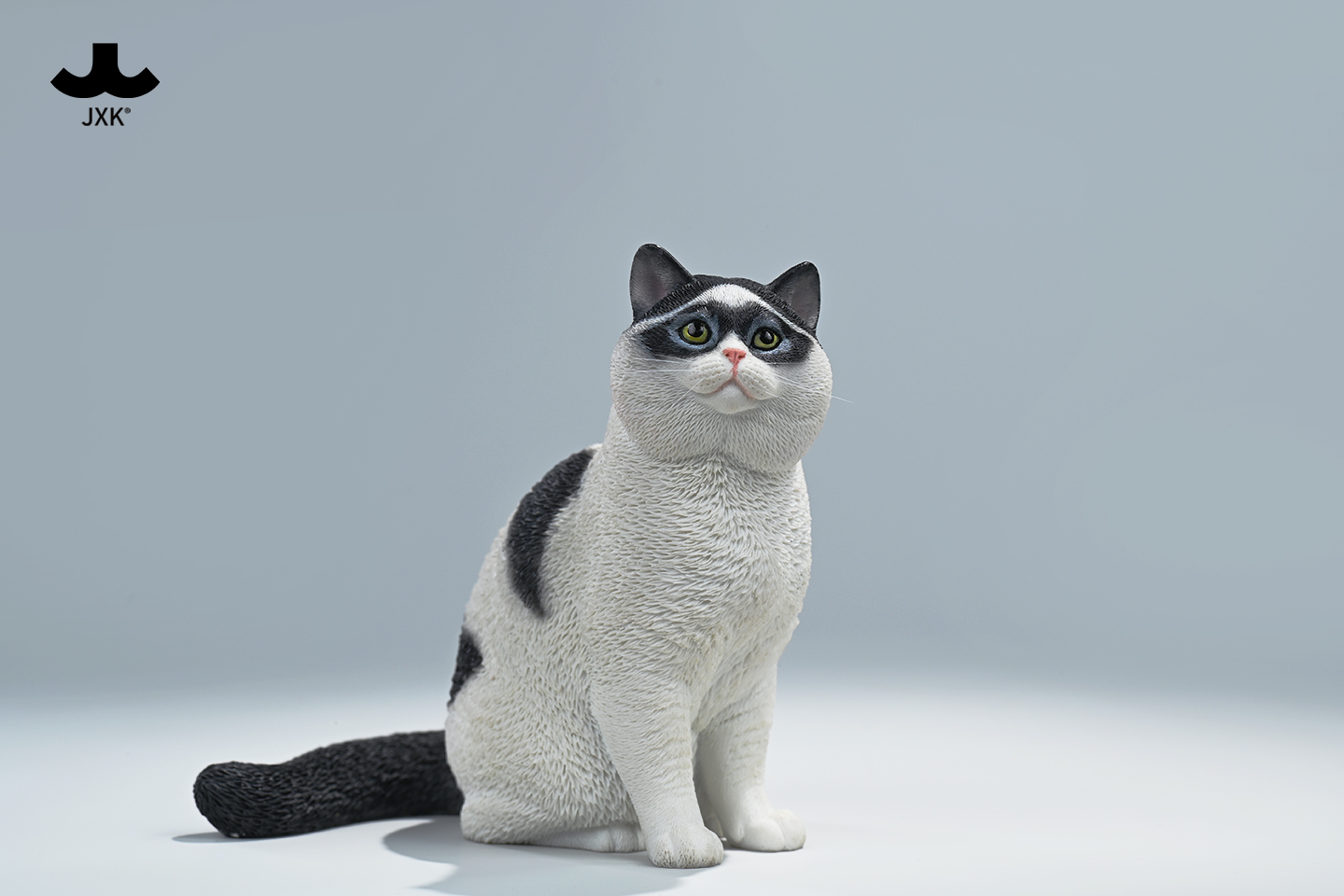 [สั่งจอง] JXK - CW2303 : zorro cat