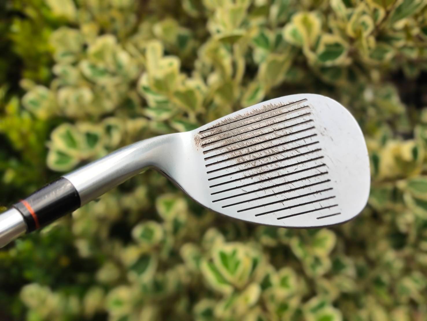 SW HONMA TWIN MARK ตัวพรีเมี่ยมสุดๆๆๆของ HONMA