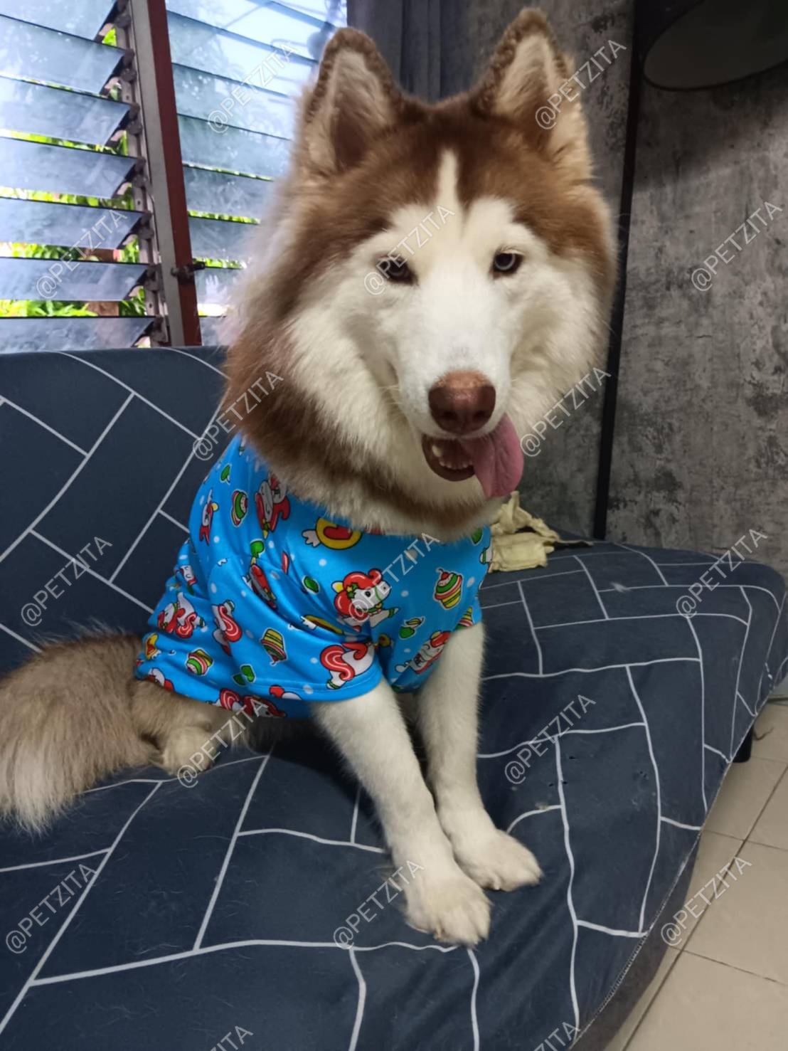 🇹🇭พร้อมส่ง🇹🇭 🐕🦮🐕 BIGSIZE เสื้อ หมาใหญ่ หมาอ้วน ลายแฟชั่นน่ารัก ผ้ารูใส่สบาย FOR สัตว์เลี้ยง สุนัขพันธุ์ใหญ่