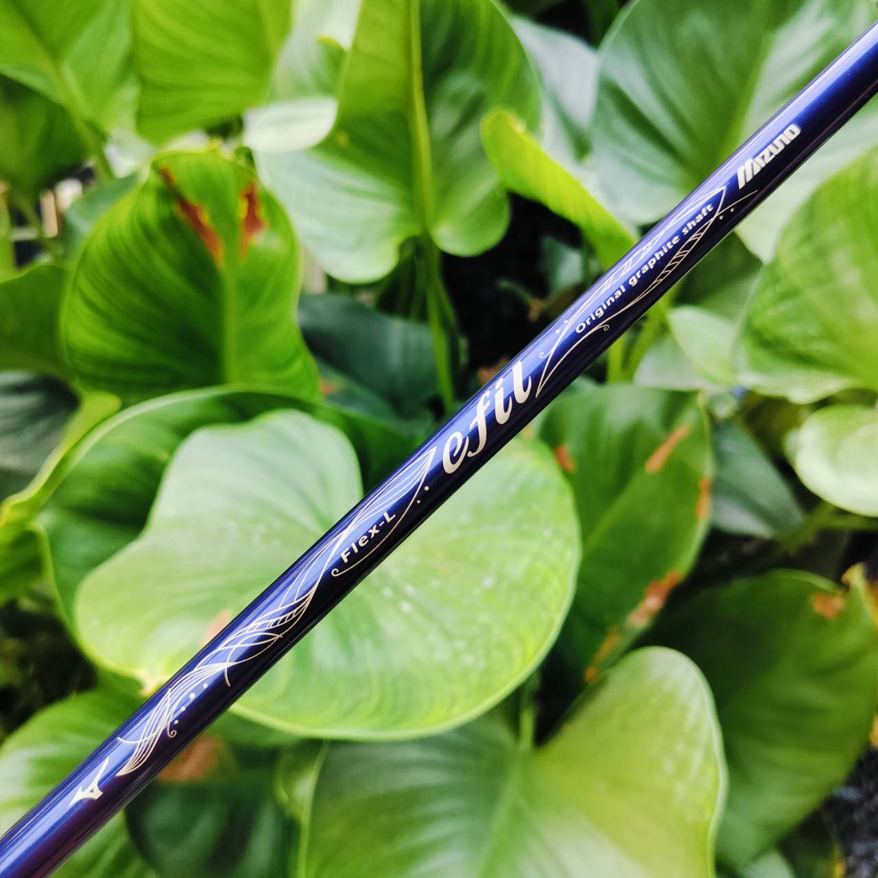 *** ไม้กอล์ฟสำหรับผู้หญิง *** เหล็ก 6 MIZUNO EFIL ก้านเบามากสำหรับผู้หญิง เป็น EFIL รุ่นใหม่ ซีรี่ตีง่าย สำหรับคุณผู้หญิงที่สวิงไม่แรง ไม้กอล์ฟพรีเมี่ยมมือสอง ของแท้ By NakaraLuxurious