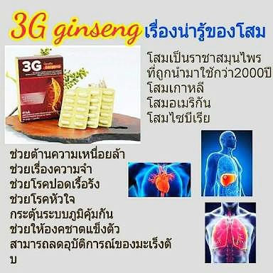 ทรีจี จินเส็ง กิฟฟารีน 3G Ginseng โสม 3G