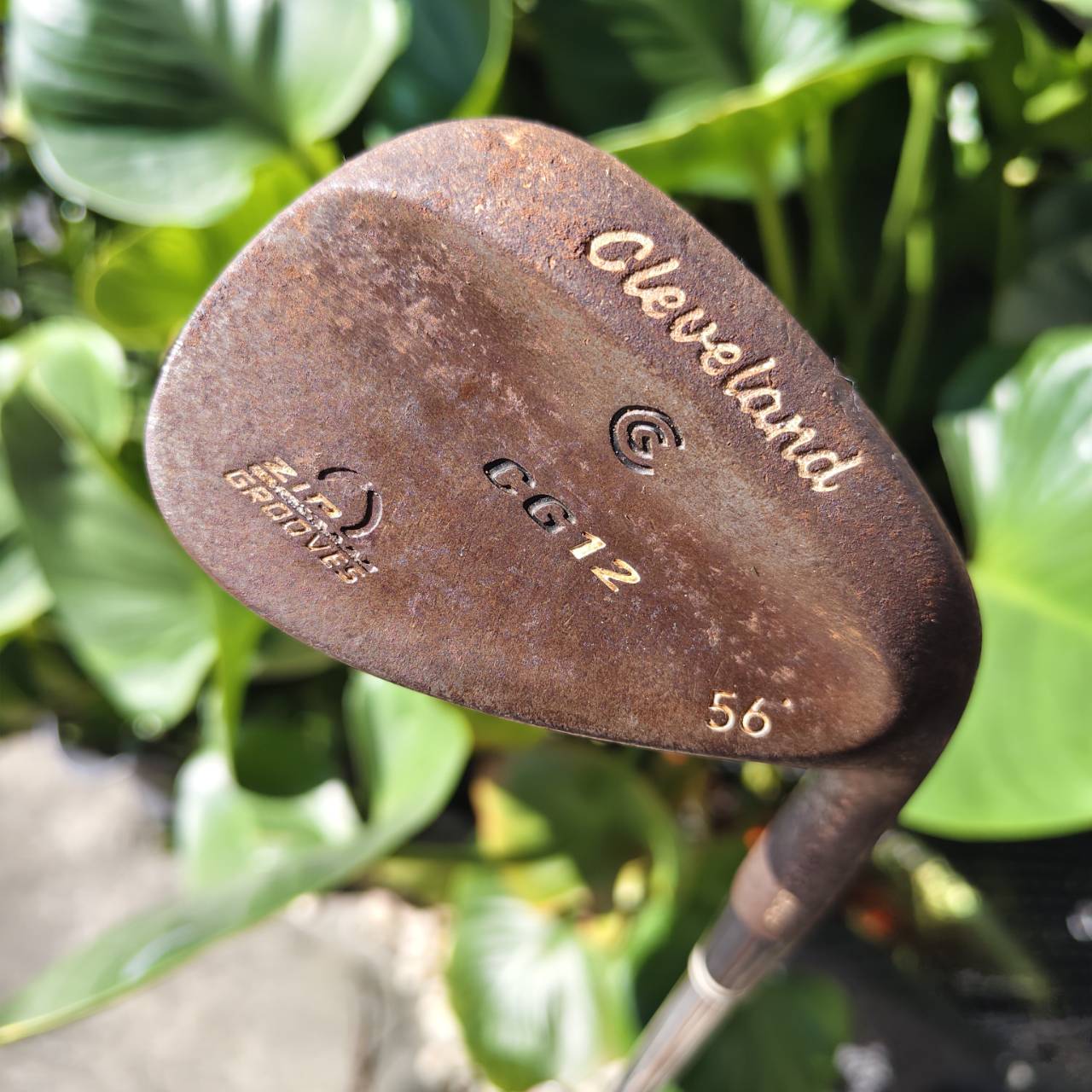 WEDGE สปินโหดๆ CLEVELAND CG12 • Loft 56° • ZIP GROOVE รุ่นร่องสี่เหลี่ยม!