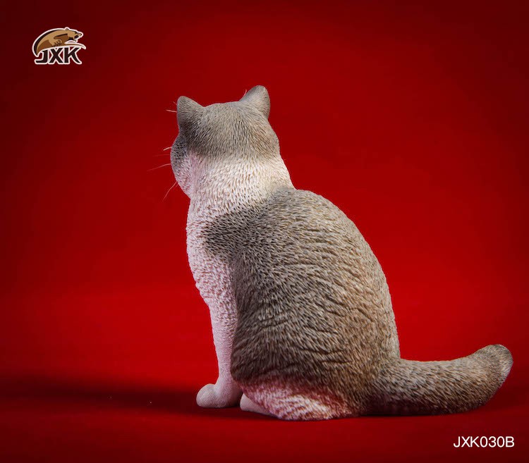 [สั่งจอง] JxK.Studio 1/6 Jxk029/ Jxk030 A/B/C/D -Ragdoll / British Shorthair Cat