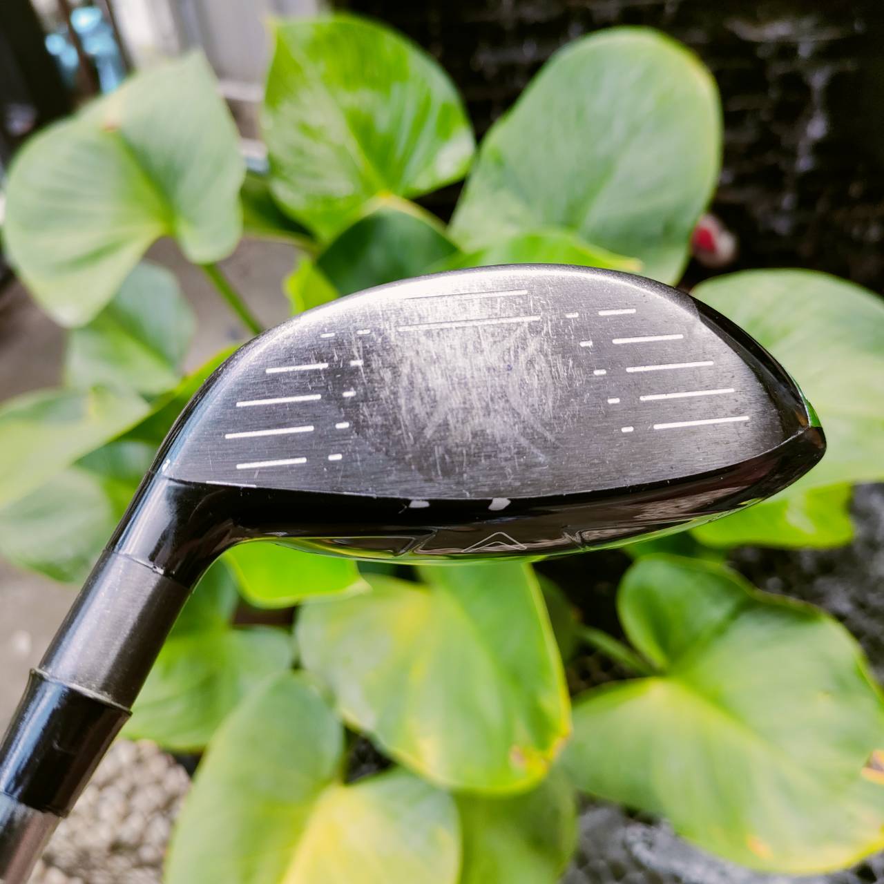 FW5 Callaway GBB EPIC STAR ก้าน ELASTER FLEX R ตีถักหลายชั้น ดีมากๆ ตีลูกลอยง่ายๆ ตีไกล ลดราคาพิเศษที่สุด พลาดไม่ได้เลยค่ะ!!! ไม้กอล์ฟพรีเมี่ยมมือสอง ของแท้ By NakaraLuxurious