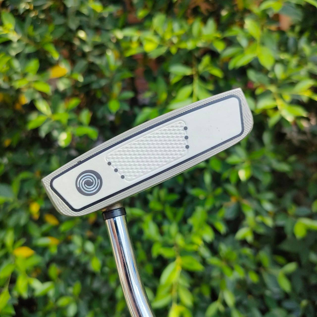 PUTTER ODYSSEY BLACK SERIES 2-BALL ความยาว 34 นิ้ว สุดยอดคุณภาพ ทั้งหน้าสัมผัส ทั้ง บล๊านซ์ การเล็ง ราคาสุดคุ้ม พลาดไม่ได้ครับ