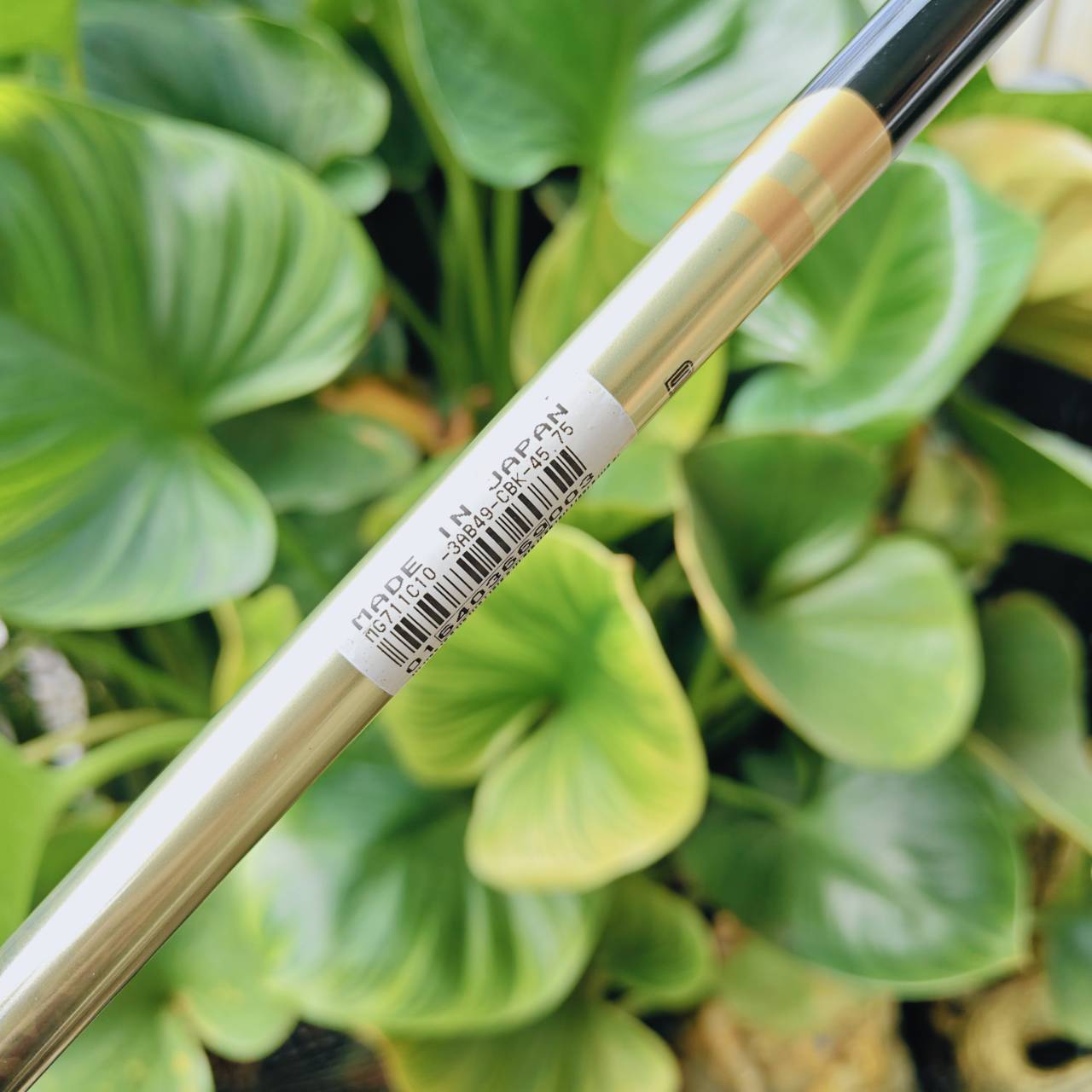 ก้านใส่ FW HONMA ARMRQ B49 ★★★ – ก้านระดับตำนานจาก SAKATA, JAPAN