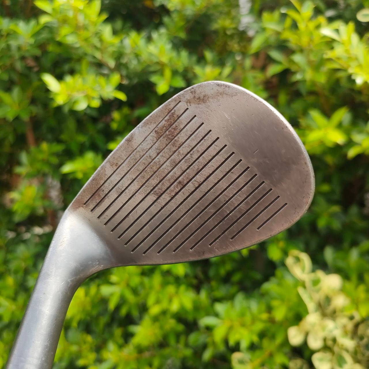 WEDGE FOURTEEN FH FORGED V1 องศา 56 ก้าน DYNAMIC GOLD FLEX WEDGE สุดยอด WEDGE อันดับ 1 พรีเมี่ยมญี่ปุ่น สุดยอดวัสดุ Forged S25C สุดพรีเมี่ยม ไม้กอล์ฟมือสอง ของแท้ BY NakaraLuxurious