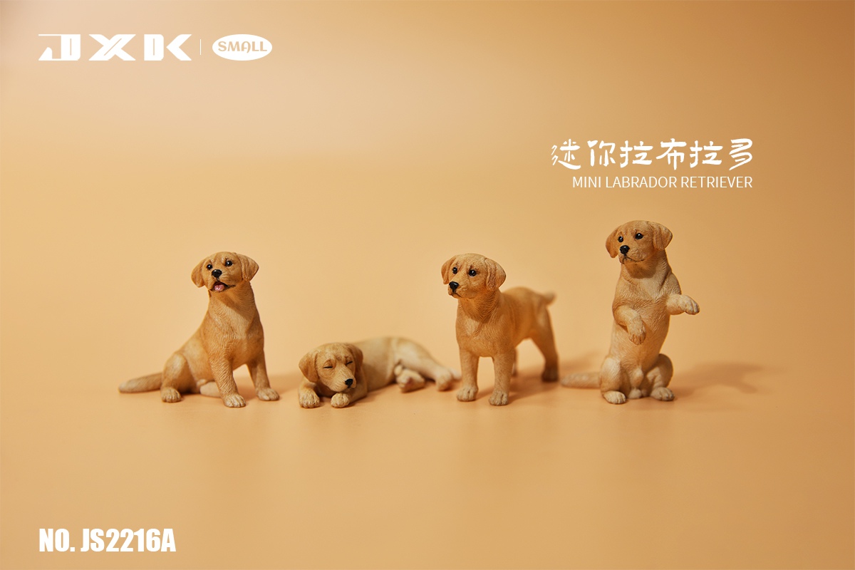 [สั่งจอง]JXK small : Mini