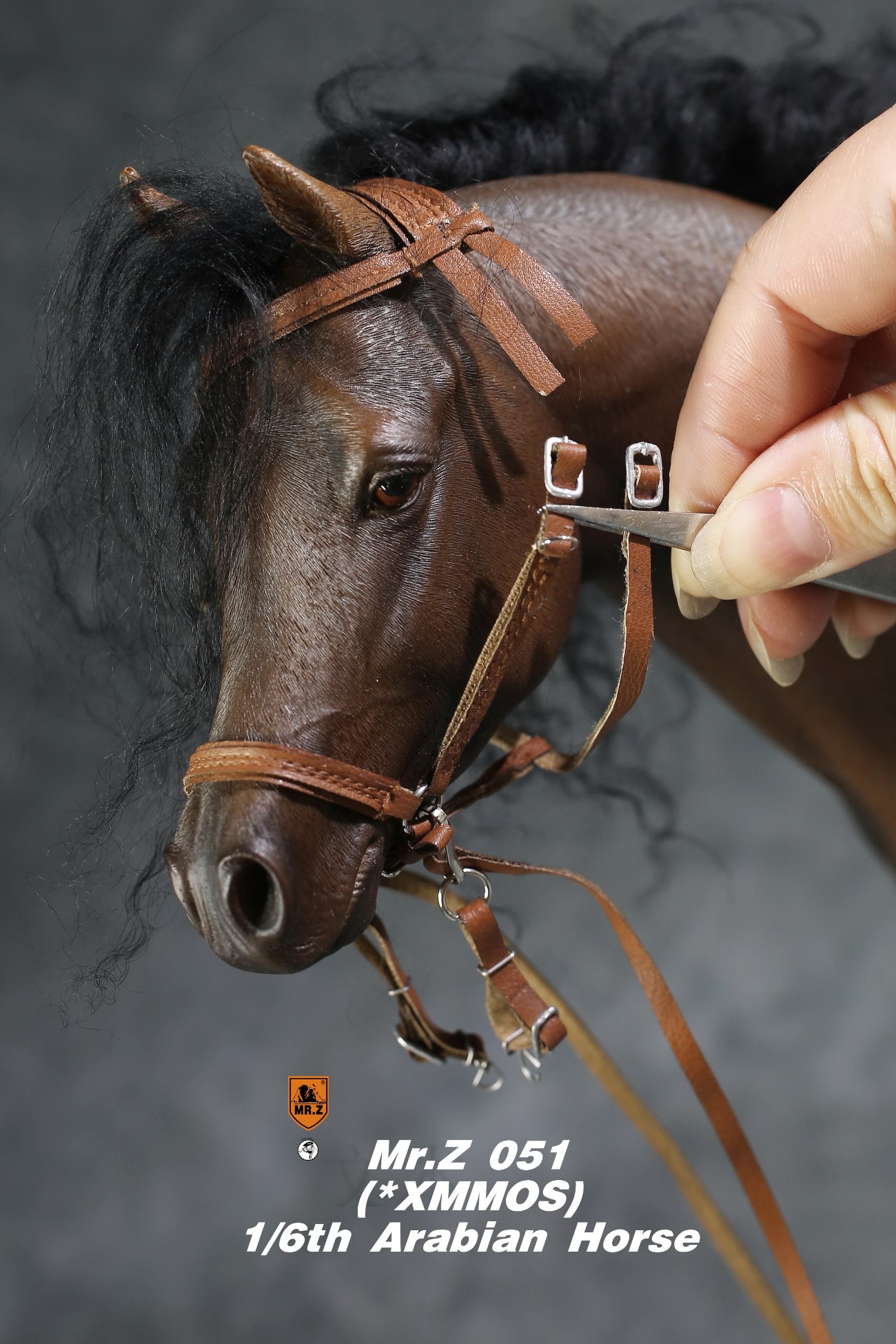 [สั่งจอง]Mr.Z MRZ051 1/6 animal model : Arabian Horse