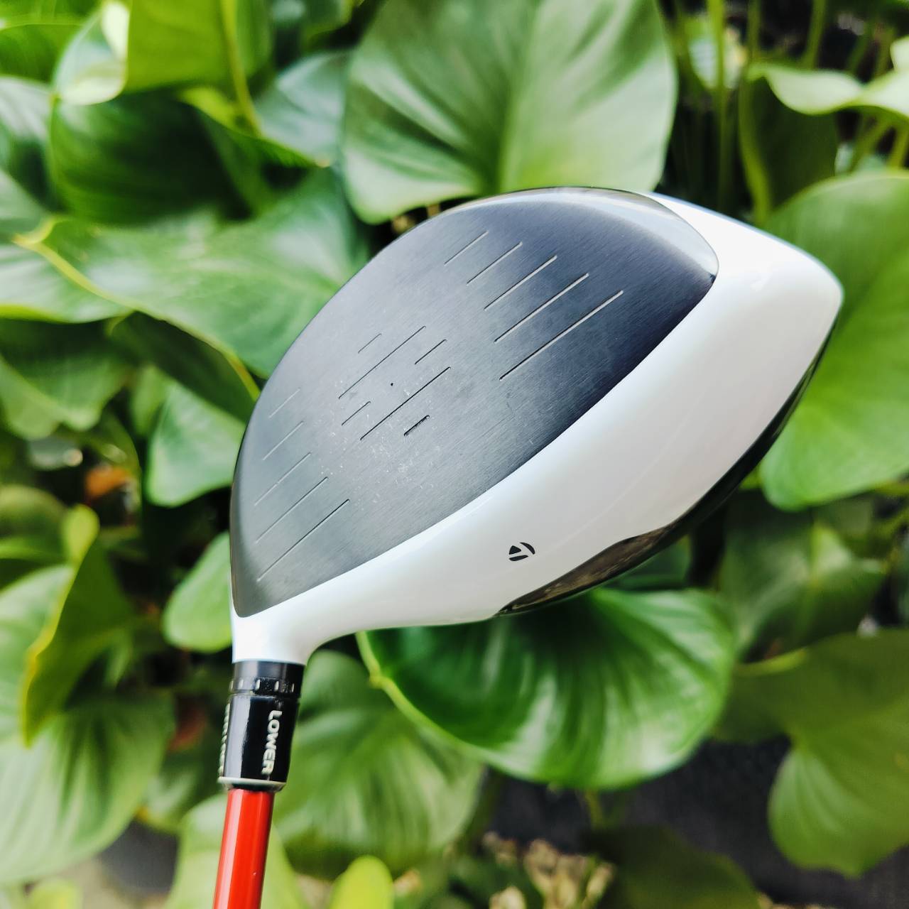 Driver Taylormade M1 460 ก้าน AUTO POWER 4S *** ก้านดีมาก แค่ก้านก็คุ้มแล้ว!!! เข้ากับหัวมาก ตีสนุกแบบสุดๆ สภาพสวยเดิม มี COVER เดิมแท้ ไม้กอล์ฟพรีเมี่ยมมือสอง ของแท้ By NakaraLuxurious