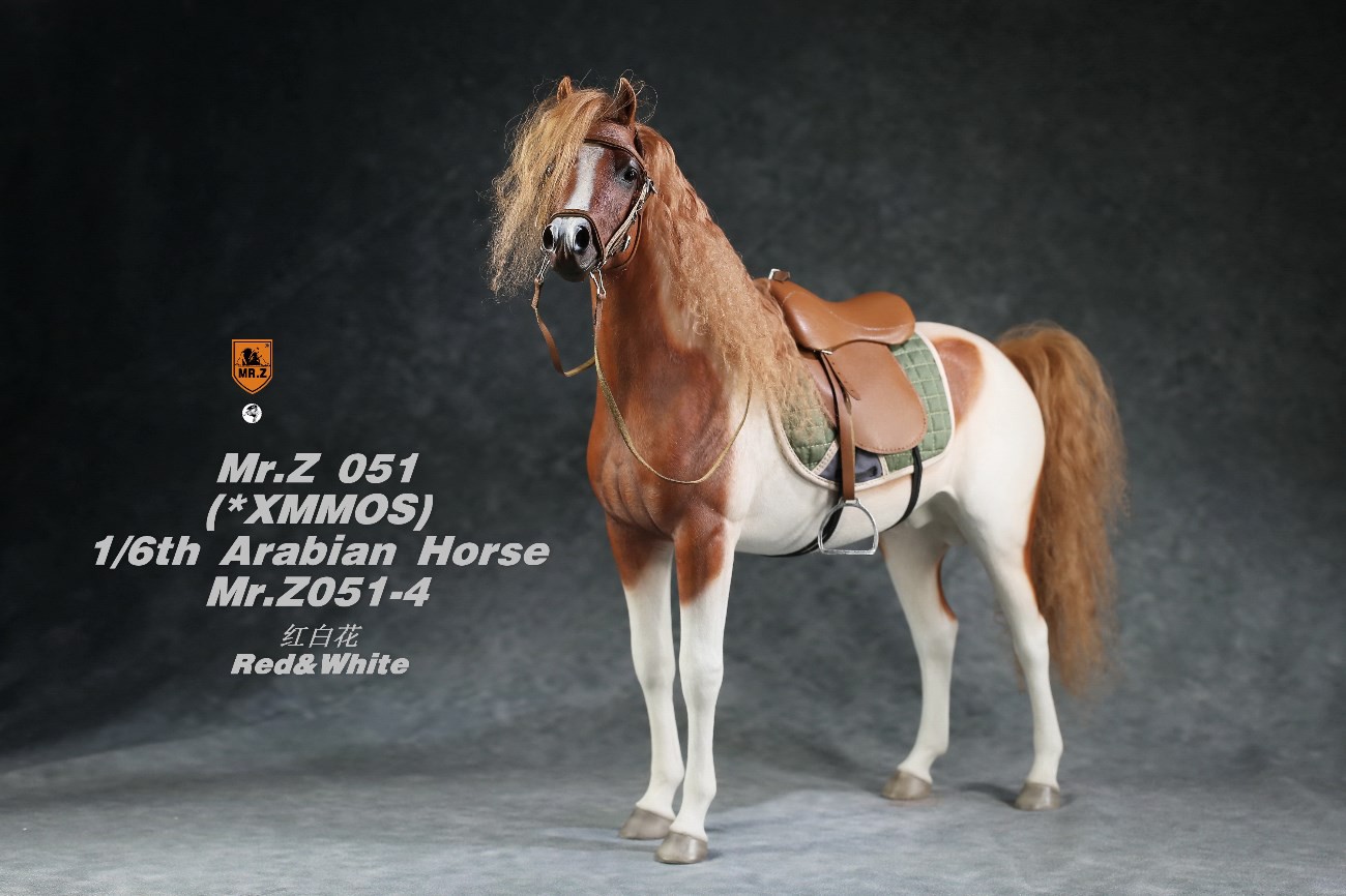 [สั่งจอง]Mr.Z MRZ051 1/6 animal model : Arabian Horse