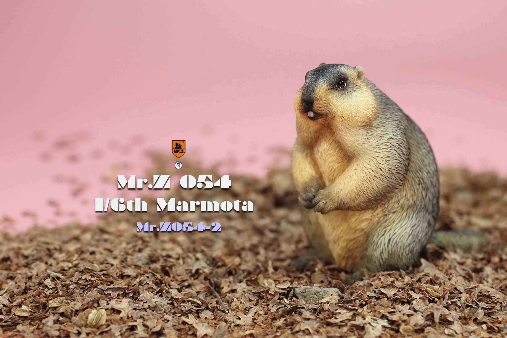 [สั่งจอง]Mr.Z MRZ054 1/6 : Animal Model - Marmota