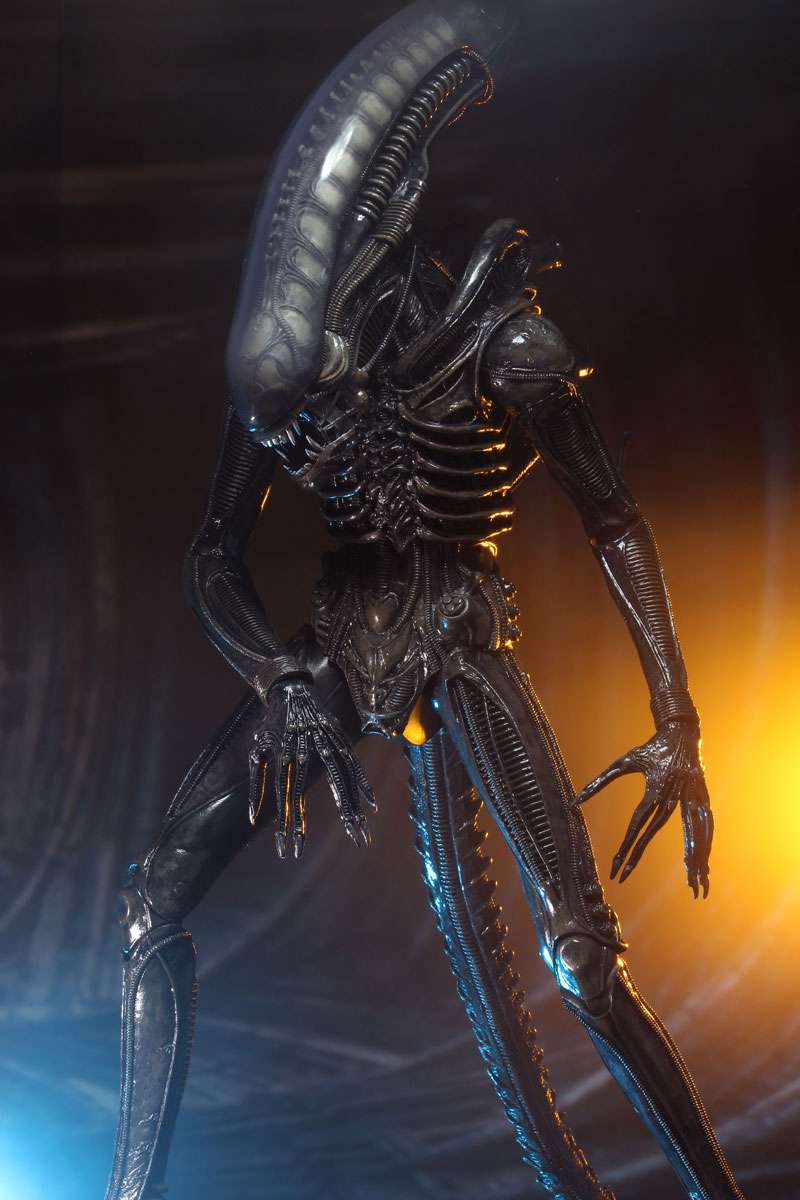 [สั่งจอง] Neca : Alien [Reissue]