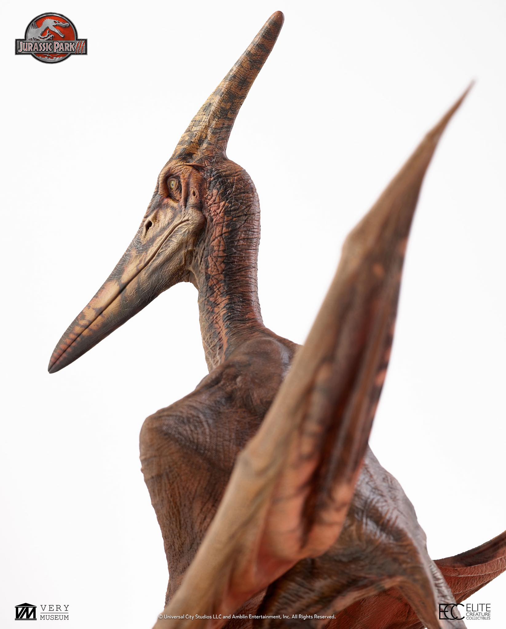 [สั่งจอง]ECC : Pteranodon Prop Replica (Jurassic Park III)