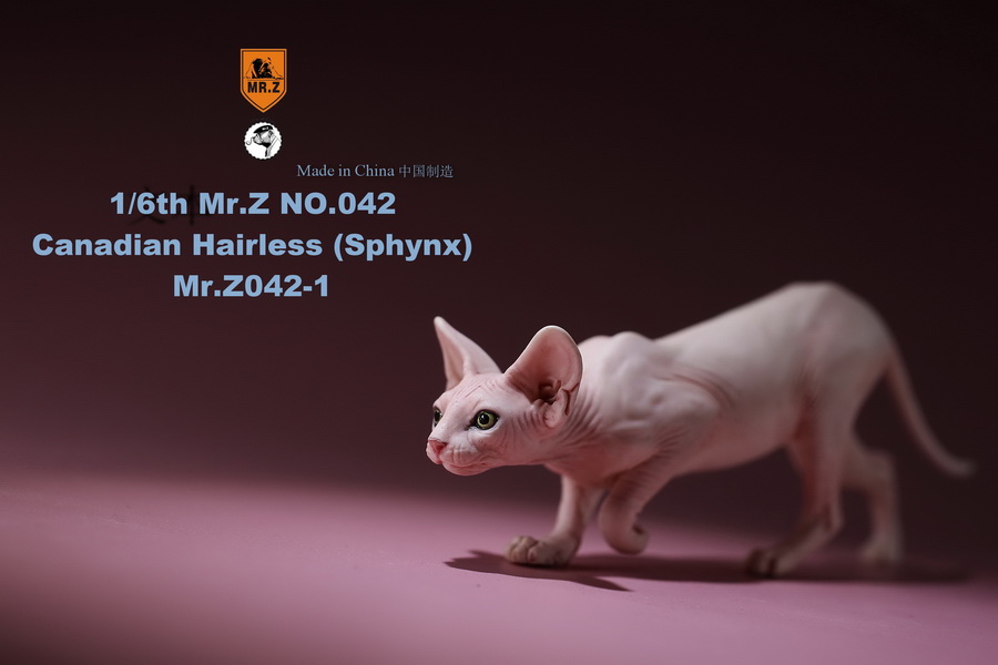 [สั่งจอง]แมวสฟิงก์ แมวน้อยขนกลับด้าน 1/6 Mr. Z Animal Model No.42: 1/6th Canadian Hairless (Sphynx)