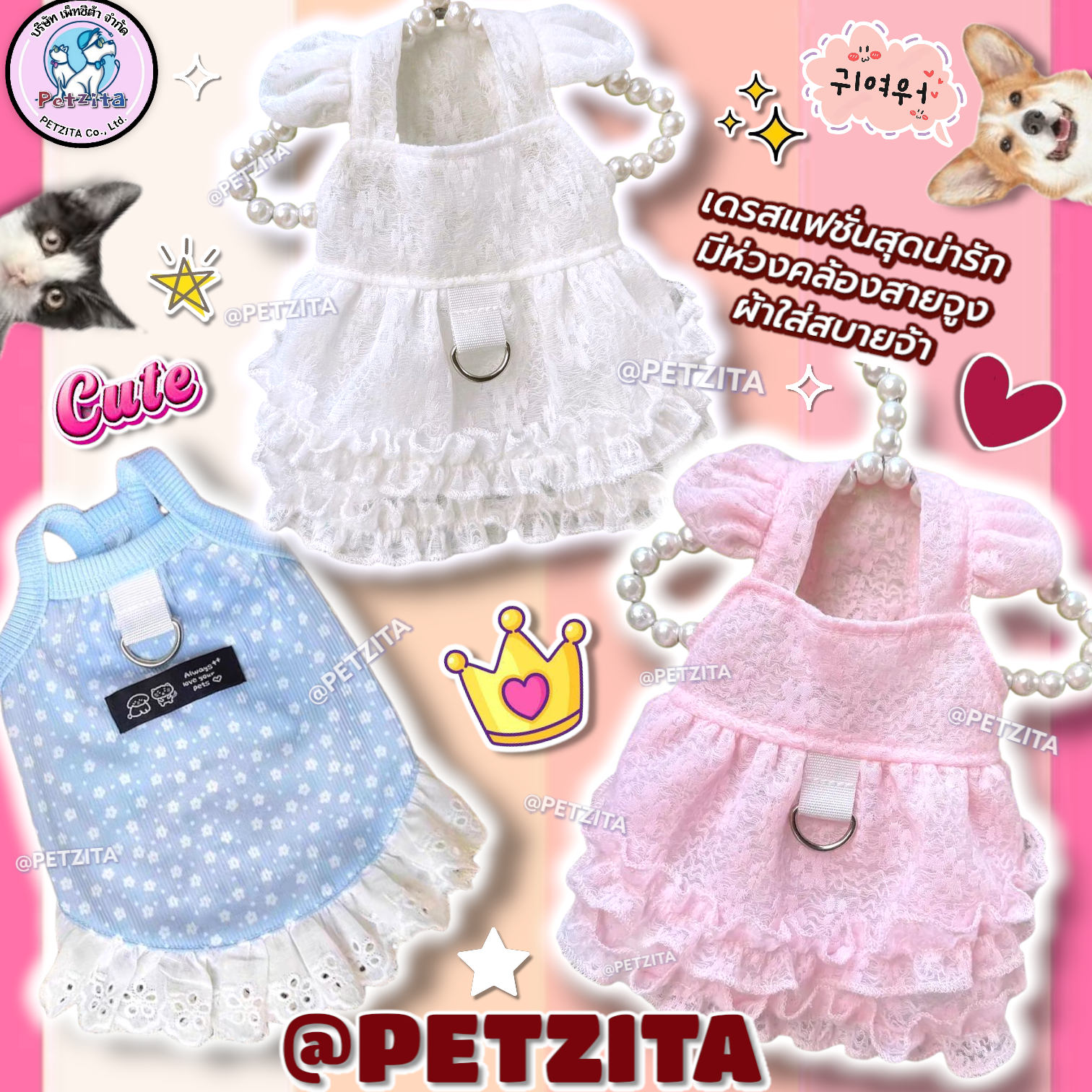 🇹🇭พร้อมส่ง🇹🇭 ✨️ เดรสแฟชั่นสุดน่ารัก เดรสสัตว์เลี้ยง ผ้าใส่สบาย for pet เสื้อสุนัข ชุดหมา ชุดแมว