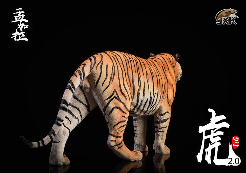 [สั่งจอง]JXK.Studio 1/6 JXK020A yellow Bengal tiger & JXK020B white Bengal tiger