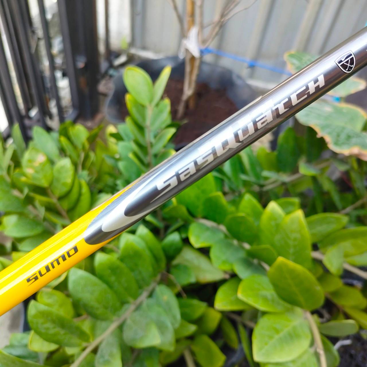 DRIVER NIKE SQ SUMO องศา 9.5 ก้าน DIAMANA SASQUATCH SUMO FLEX S ก้านดีมาก ตีไกล และที่สุดคัญตีง่ายมาก ไม้กอล์ฟพรีเมี่ยมมือสอง By NakaraLuxurious