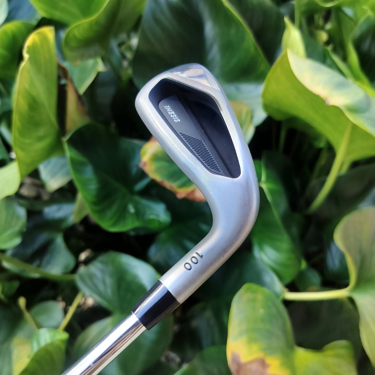 ไม้เหล็ก 7 รุ่น INESIS 100 จาก Decathlon เป็นตัวเลือกยอดนิยมสำหรับนักกอล์ฟมือใหม่ ไม้กอล์ฟพรีเมี่ยมมือสอง ของแท้ By NakaraLuxurious